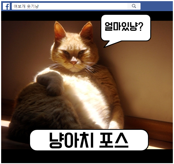 7529080a1ae0e6941fb99627447a680a_1716871052_0936.png