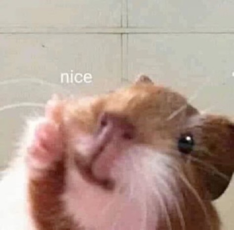 b9f5dd2cadf4c8133f562647e0c06dfe_1746146586_1282.JPG